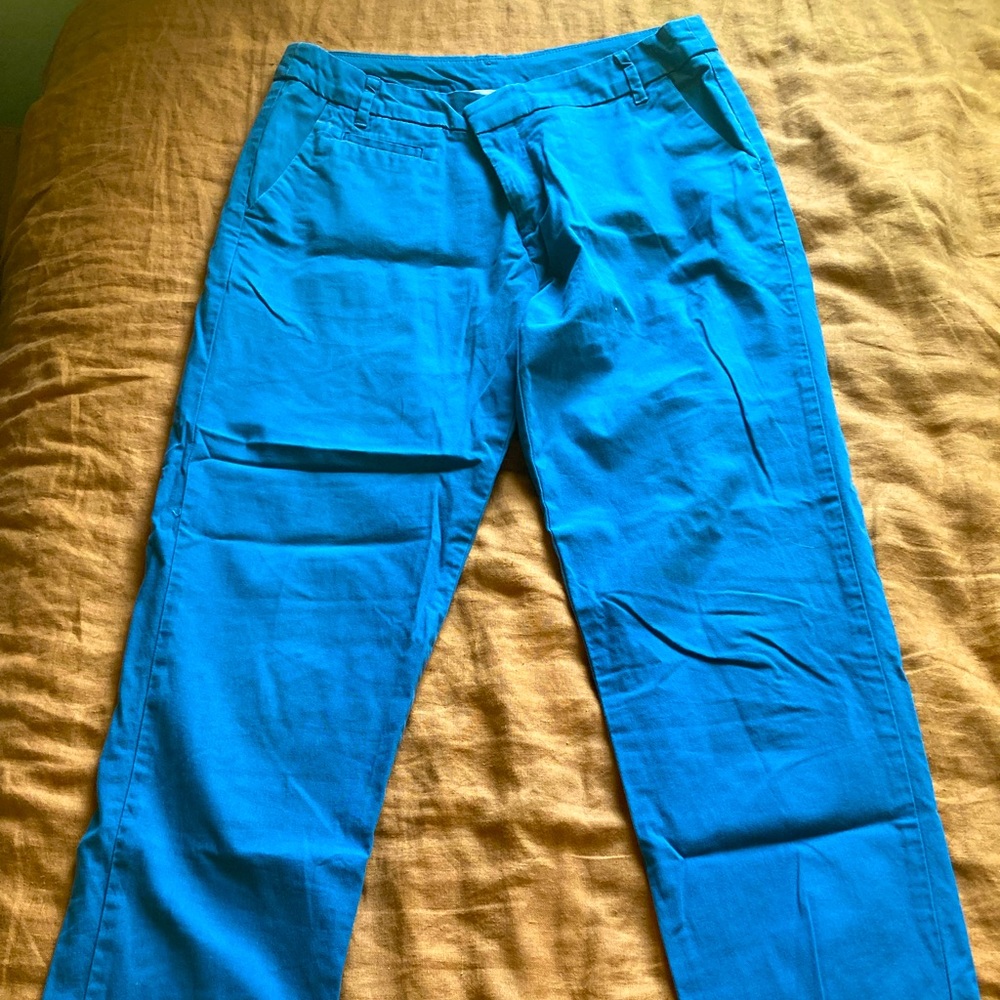 Patagonia dress pants